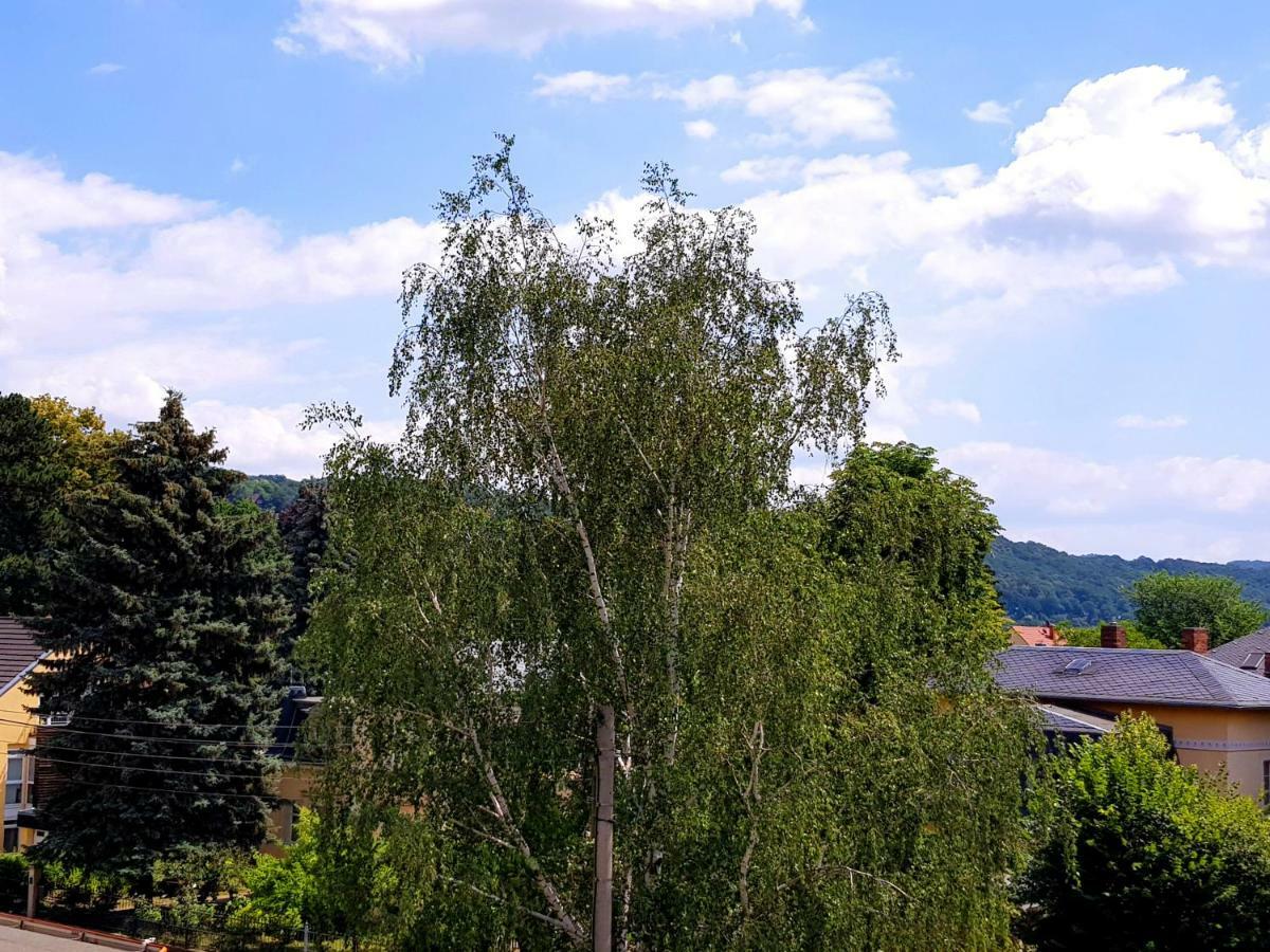 Ferienwohnung Elbhangblick - Fur 2 Personen Drážďany Exteriér fotografie